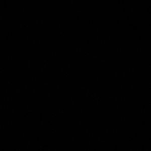 Meet your Posher, Audrey